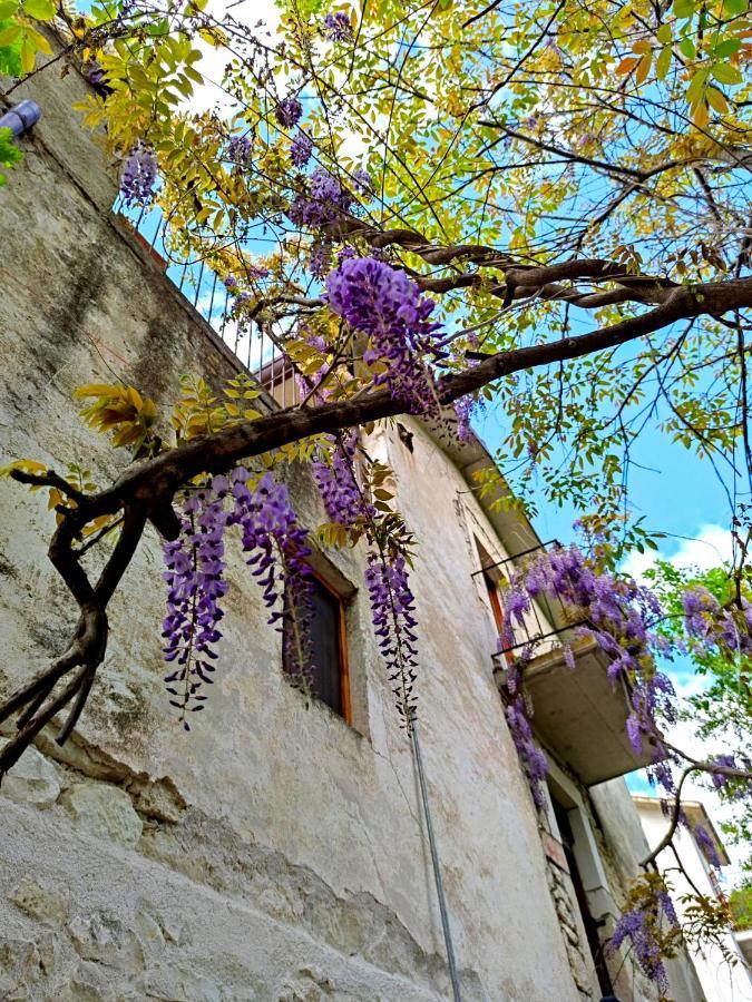 Ai Limiti • 67 • Stonehouse Vendégház Palombaro Kültér fotó